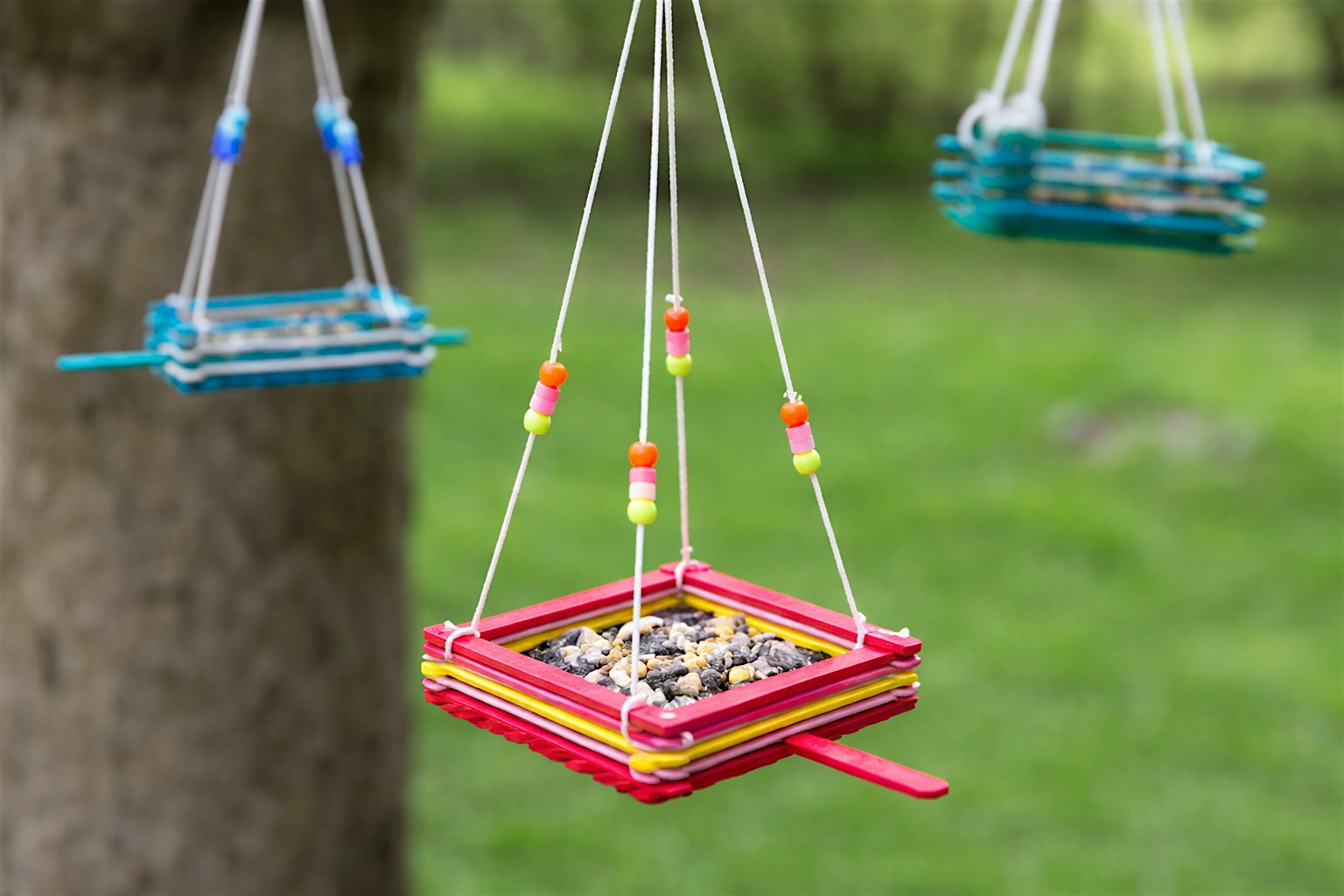 Creation Club: Make a Bird Feeder!