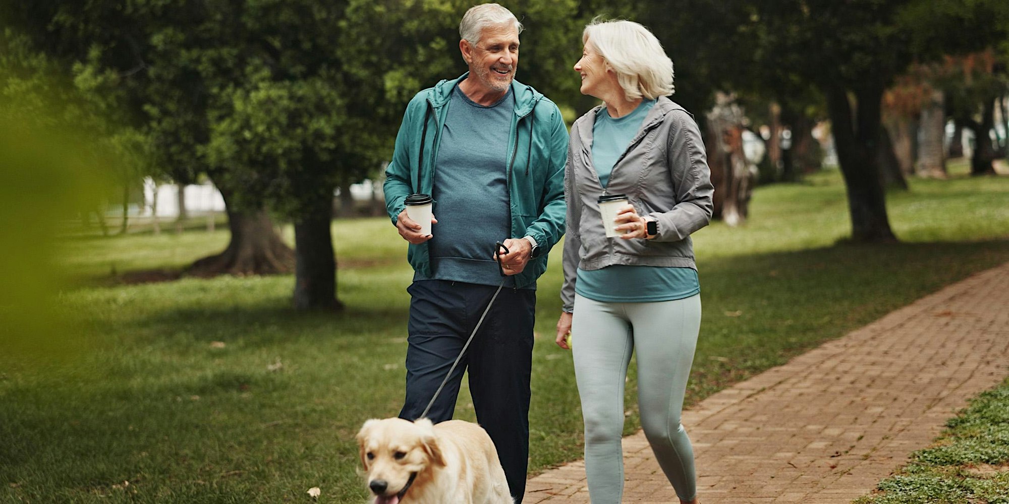 Understanding Stroke & Its Prevention
